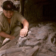 Image for article titled Paleontologists Determine Dinosaurs Were Killed By Someone They Trusted